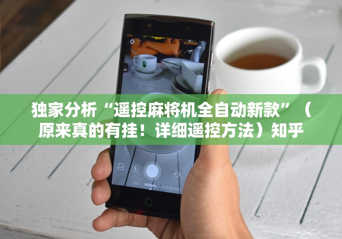 辅助最新信息“麻将机程控器除虫型[确实真的有遥控]