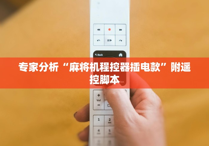 专家分析“麻将机程控器插电款”附遥控脚本