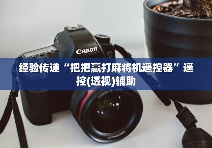 经验传递“把把赢打麻将机遥控器”遥控(透视)辅助 经验传递“把把赢打麻将机遥控器”遥控(透视)辅助