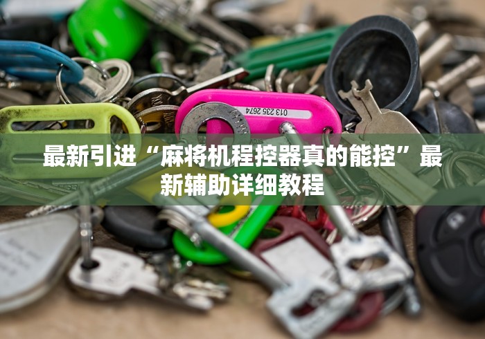 最新引进“麻将机程控器真的能控”最新辅助详细教程 最新引进“麻将机程控器真的能控”最新辅助详细教程