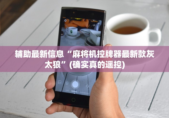 辅助最新信息“龙华麻将机程控器”已更新2025版通用神器 辅助最新信息“龙华麻将机程控器”已更新2025版通用神器