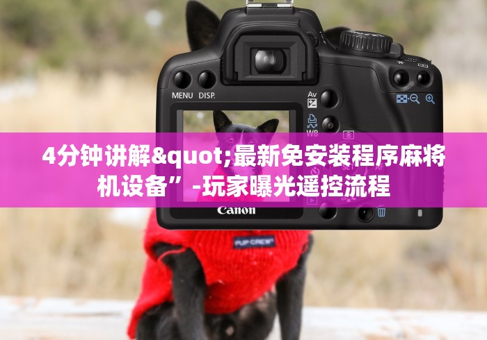 玩家必看教程“程序麻将机遥控器设置!(确实真的是有遥控)-知乎 玩家必看教程“程序麻将机遥控器设置!(确实真的是有遥控)-知乎