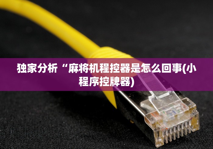 【玩家新攻略】“长春麻将麻将机程控器”(详细透视教程)