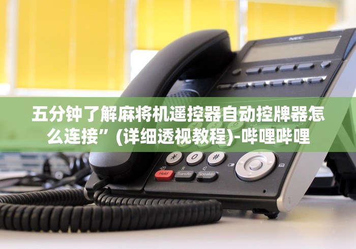 [实测]“麻将机程序控牌芯片（助赢神器通用版）