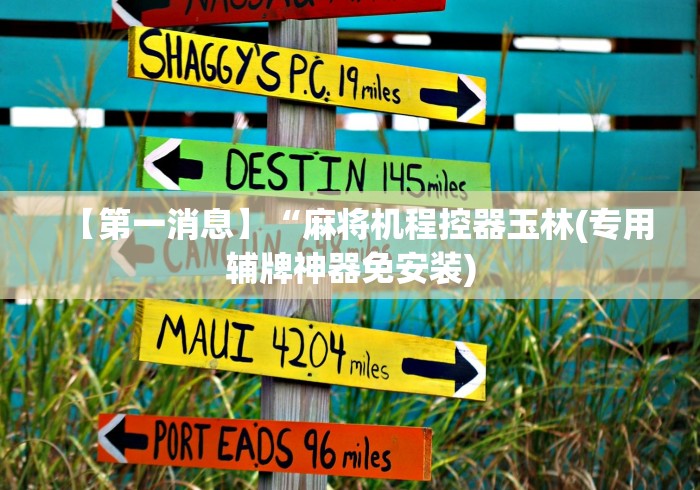 玩家必看教程“遥控麻将机作弊器原理”揭秘透视辅助万能挂 玩家必看教程“遥控麻将机作弊器原理”揭秘透视辅助万能挂