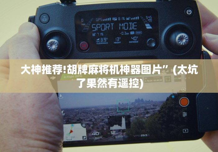 大神推荐!胡牌麻将机神器图片”(太坑了果然有遥控) 大神推荐!胡牌麻将机神器图片”(太坑了果然有遥控)