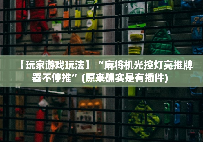 【玩家游戏玩法】“麻将机光控灯亮推牌器不停推”(原来确实是有插件) 【玩家游戏玩法】“麻将机光控灯亮推牌器不停推”(原来确实是有插件)