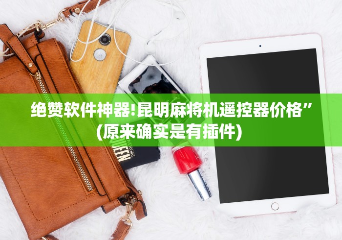 绝赞软件神器!昆明麻将机遥控器价格”(原来确实是有插件) 绝赞软件神器!昆明麻将机遥控器价格”(原来确实是有插件)