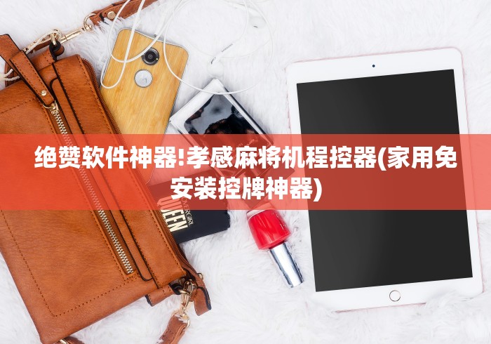 绝赞软件神器!孝感麻将机程控器(家用免安装控牌神器)