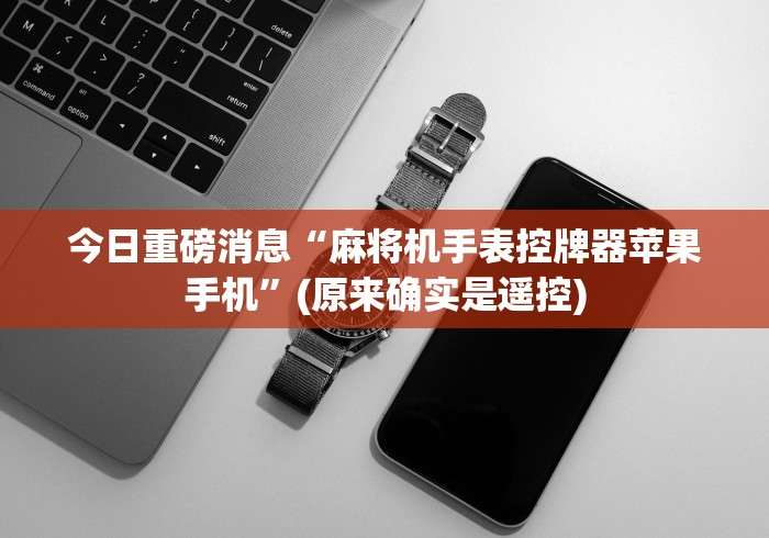 3分钟学会“麻将机遥控器真使用”(透视)遥控详细教程