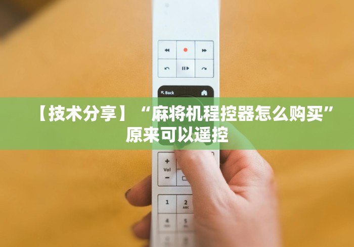 玩家必备十款麻将免安装程序控牌器被骗”附遥控脚本