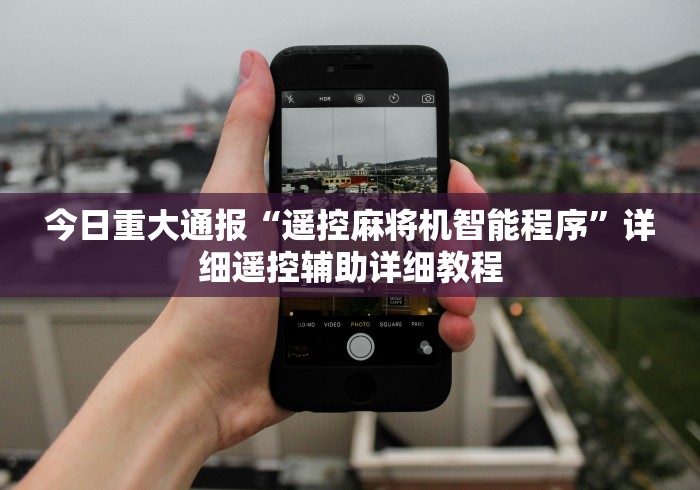 3分钟教程“麻将机遥控一体配件”其实确实有挂