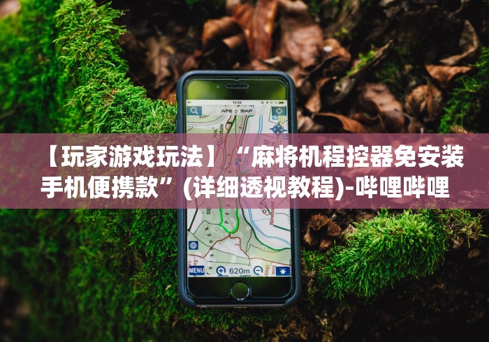 【第一攻略】“绵阳麻将机遥控器”(原来确实是有插件) 