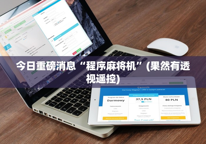 今日重磅消息“程序麻将机”(果然有透视遥控)