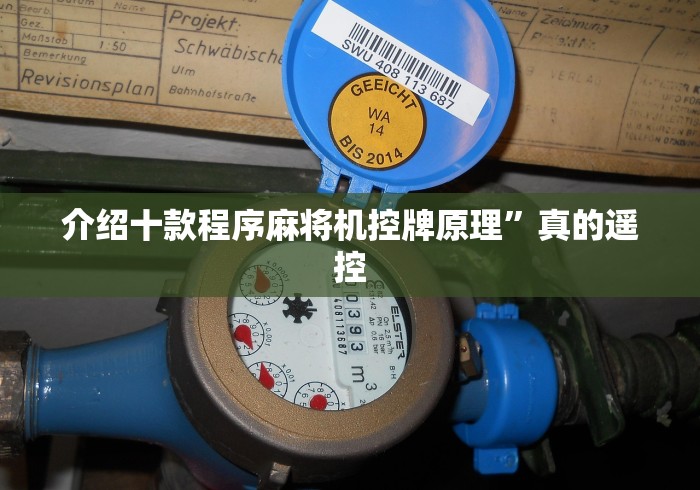 介绍十款程序麻将机控牌原理”真的遥控 介绍十款程序麻将机控牌原理”真的遥控