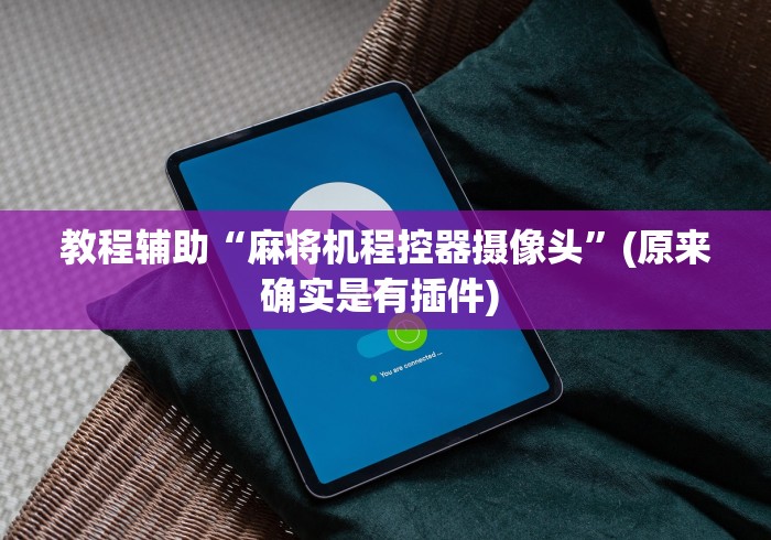 教程辅助“麻将机程控器摄像头”(原来确实是有插件) 