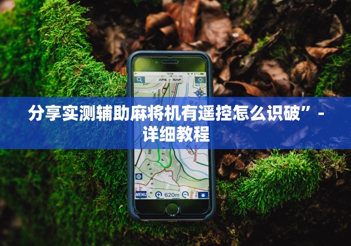 实测分享“麻将机遥控器示意图”(辅助插件下载教程) 实测分享“麻将机遥控器示意图”(辅助插件下载教程)