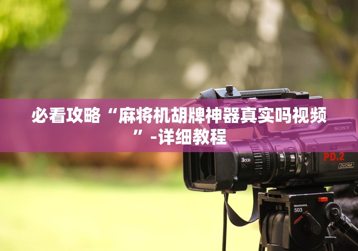 必看攻略“麻将机胡牌神器真实吗视频”-详细教程