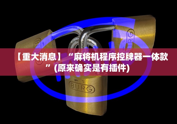 【重大消息】“麻将机程序控牌器一体款”(原来确实是有插件) 【重大消息】“麻将机程序控牌器一体款”(原来确实是有插件)