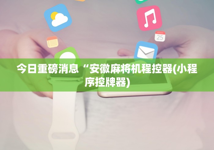 实测辅助“麻将机遥控器通用”(果然有遥控) 