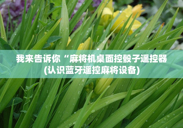 我来告诉你“麻将机桌面控骰子遥控器(认识蓝牙遥控麻将设备)