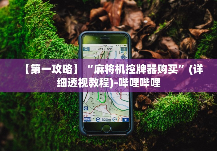 【第一攻略】“麻将机控牌器购买”(详细透视教程)-哔哩哔哩