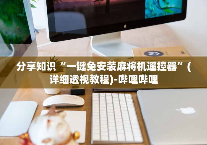 分享知识“一键免安装麻将机遥控器”(详细透视教程)-哔哩哔哩