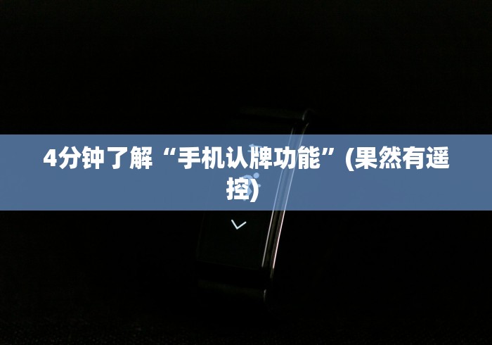 4分钟了解“手机认牌功能”(果然有遥控) 