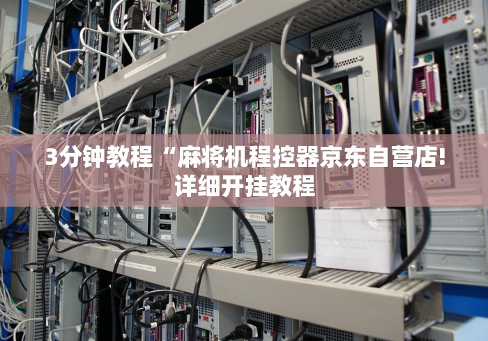 3分钟教程“麻将机程控器京东自营店!详细开挂教程