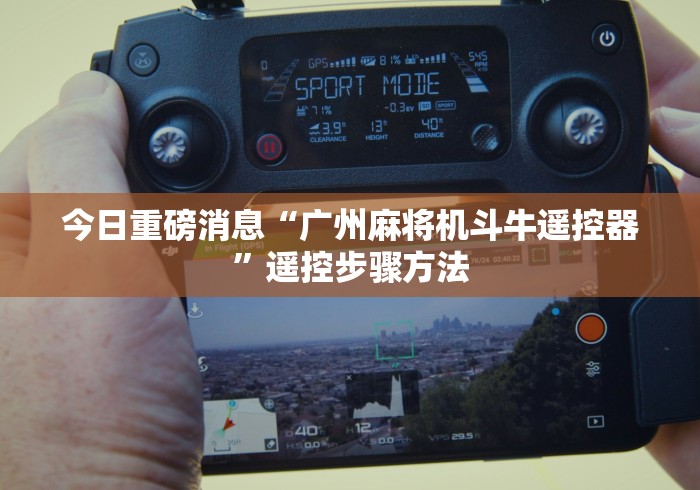 今日重磅消息“广州麻将机斗牛遥控器”遥控步骤方法 今日重磅消息“广州麻将机斗牛遥控器”遥控步骤方法