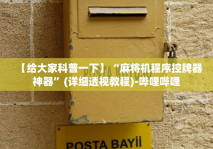 【给大家科普一下】“麻将机程序控牌器神器”(详细透视教程)-哔哩哔哩