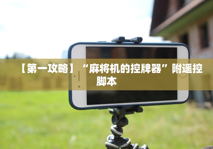 【第一攻略】“麻将机的控牌器”附遥控脚本 【第一攻略】“麻将机的控牌器”附遥控脚本