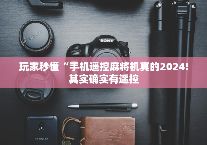 玩家秒懂“手机遥控麻将机真的2024!其实确实有遥控