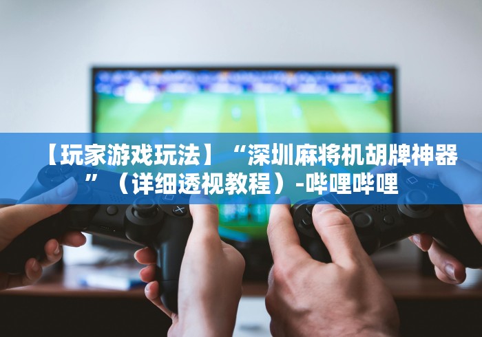 【玩家游戏玩法】“深圳麻将机胡牌神器”（详细透视教程）-哔哩哔哩