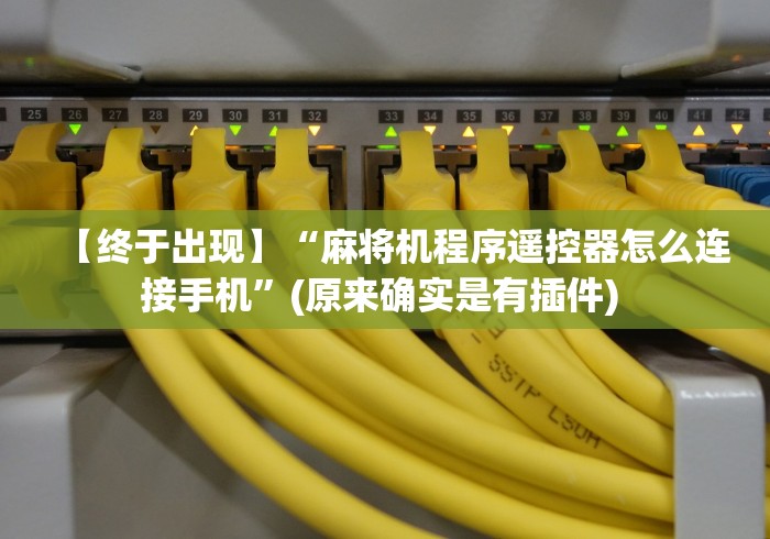 【终于出现】“麻将机程序遥控器怎么连接手机”(原来确实是有插件) 