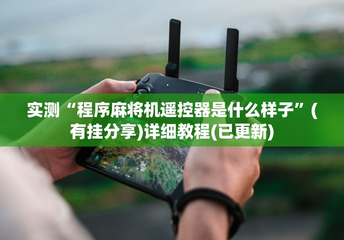 实测“程序麻将机遥控器是什么样子”(有挂分享)详细教程(已更新)