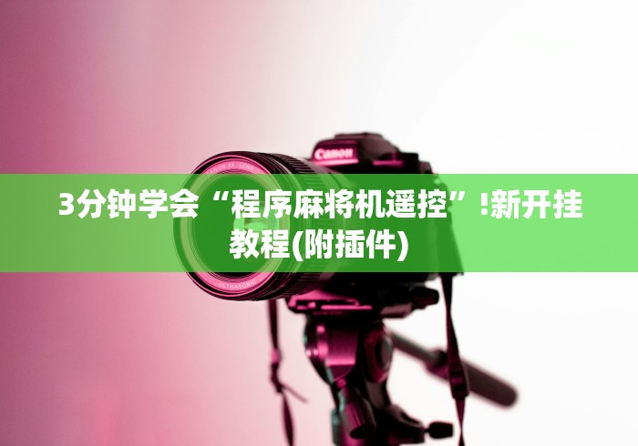 3分钟学会“程序麻将机遥控”!新开挂教程(附插件)