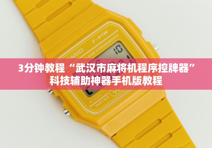 3分钟教程“武汉市麻将机程序控牌器”科技辅助神器手机版教程 3分钟教程“武汉市麻将机程序控牌器”科技辅助神器手机版教程