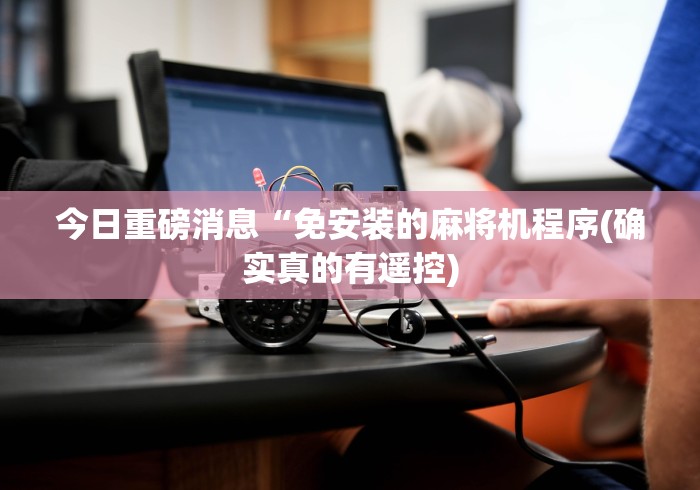 今日重磅消息“免安装的麻将机程序(确实真的有遥控) 今日重磅消息“免安装的麻将机程序(确实真的有遥控)