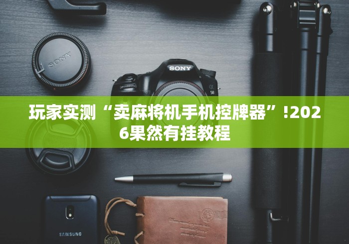 玩家实测“卖麻将机手机控牌器”!2026果然有挂教程