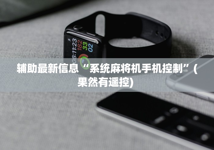 辅助最新信息“系统麻将机手机控制”(果然有遥控) 